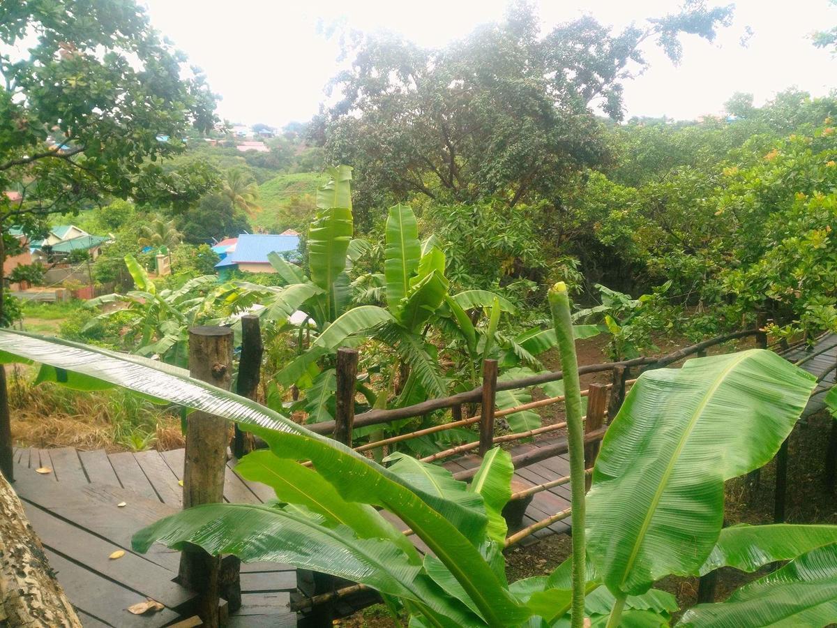 Tree Lodge Banlung Exterior photo